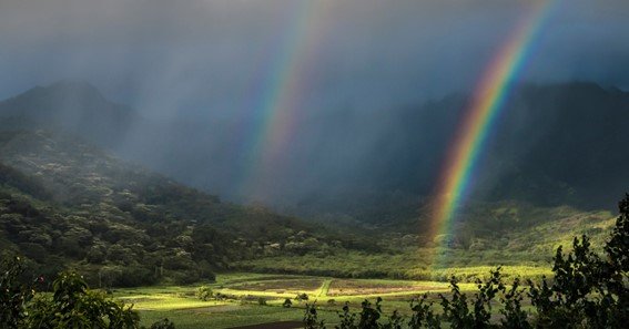 Double Rainbows