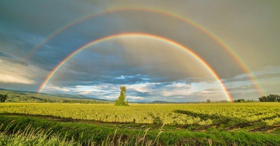 How Long Does a Rainbow Last