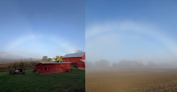 How Rare is a Fogbow