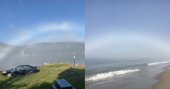 How Rare is a Fogbow