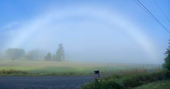 What Does a Fogbow Look Like