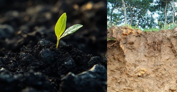 Types of Soil Pollution