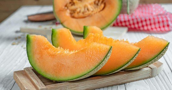 can dogs eat cantaloupe melon