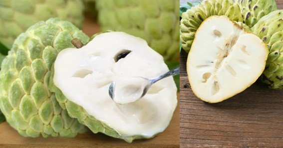 can dogs eat custard apple skin