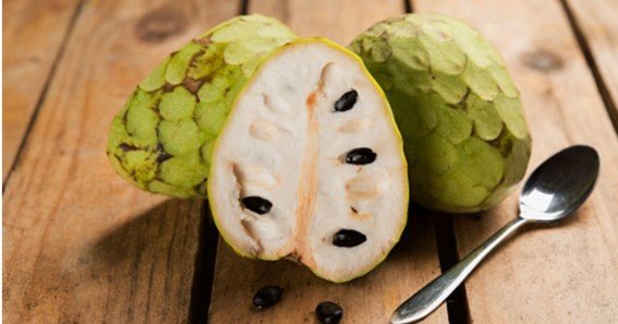 Can Dogs Eat Custard Apple The Truth Revealed