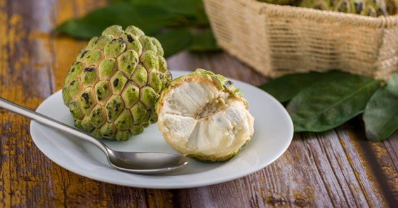 Can Dogs Eat Custard Apple The Truth Revealed