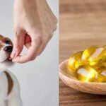 fish oil capsules for dogs