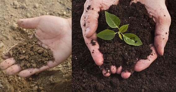 How Does Soil Pollution Occur