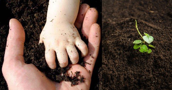 How Does Soil Pollution Occur