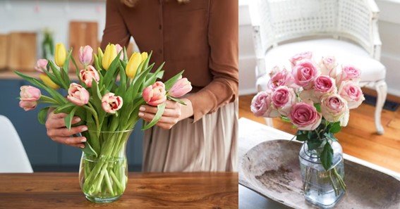 how to keep cut flowers fresh longer