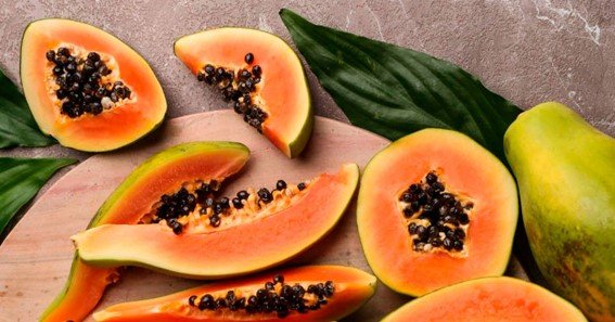 Can Cats Eat Papaya Skin