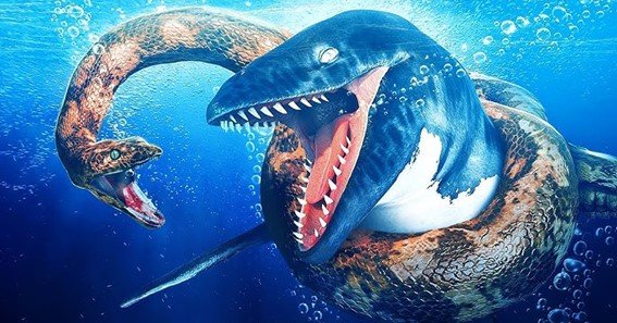 can a titanoboa kill a megalodon