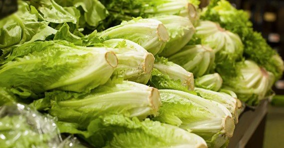 is there vitamin k in romaine lettuce