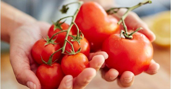 is there vitamin k in tomatoes