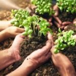 advantages of soil conservation