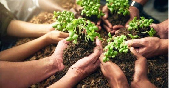 advantages of soil conservation