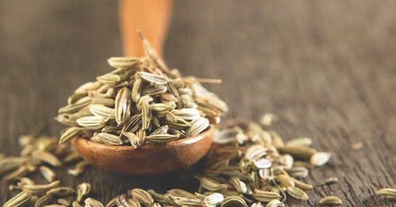 benefits of fennel seeds during periods