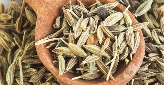 benefits of fennel seeds for acid reflux