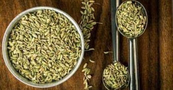 benefits of fennel seeds for babies