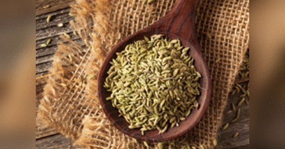 benefits of fennel seeds for fertility