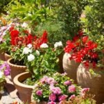 flower gardening in containers