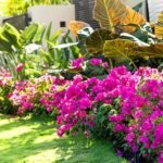 flower gardening in florida