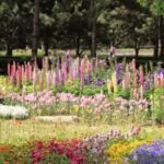 flower gardening in kansas