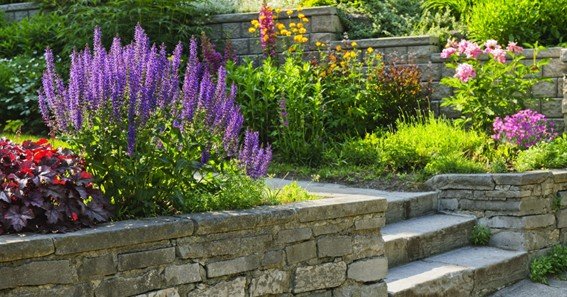 flower gardening in minnesota