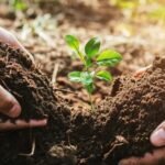 how to make soil conservation