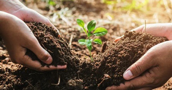 how to make soil conservation