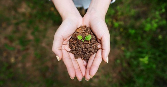 how to soil conservation