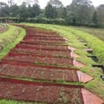 soil conservation methods in dry areas