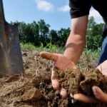 soil conservation practices in agriculture