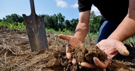 soil conservation practices in agriculture