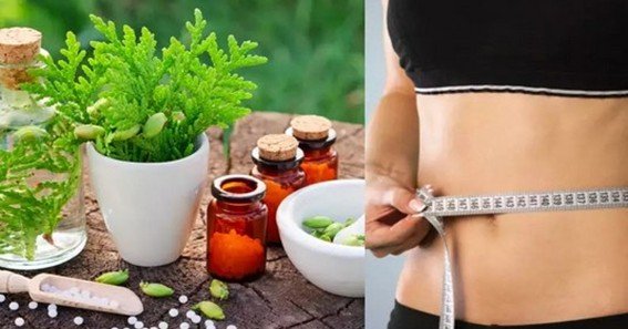 weight management ayurveda